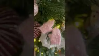 Вязаные варежки для Паола Рейна!