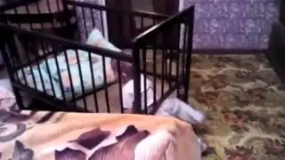 Побег из кроватки