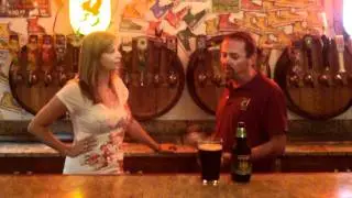 Irish Fest Live - Sprecher Brewery