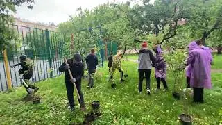 На свободной лужайке появился Сиреневый Сад!