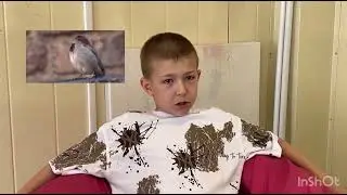 Видео-челлендж «Взгляд снизу»