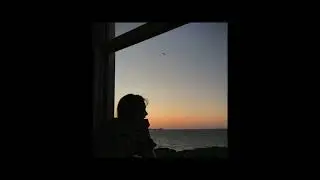 mimi bay - seabird cover