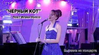 Песенка про чёрного кота 😺🎵 поет Ирина Нэлсо