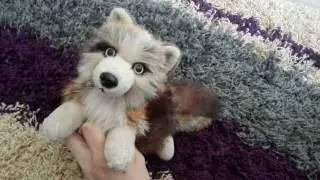 Blonde and red wolf ~ Small floppy 12
