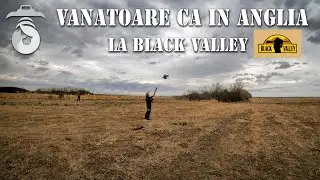 O vanatoare la fazan asa cum se face si in Anglia, la Black Valley Romania