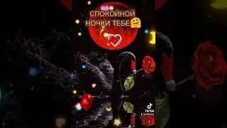 Спокойной ночи любимая