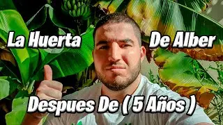 Recorrido Por LA HUERTA Después de 5 AÑOS | La Huerta De Alber