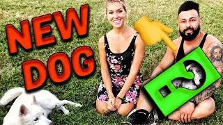 WE BOUGHT A BIG DOG!!