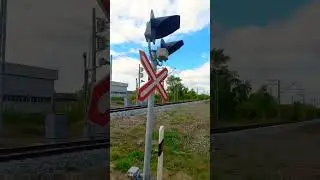 16 августа 2023 г.
