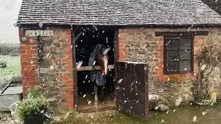 Teacake snow 2024