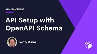 API Setup with OpenAPI Schema
