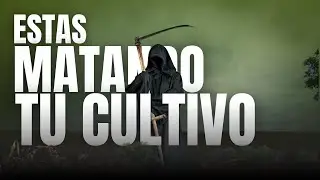 El impacto de las malas prácticas y el mito de los fitosanitarios