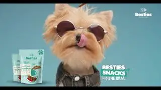 Besties: NUTRICIÓN óptima para mascotas
