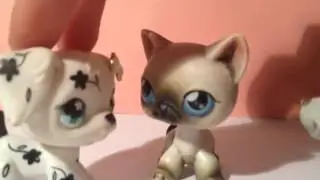 LPS : Тейлер к сериалу 