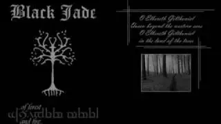 underground black metal cassette covers 1/2..