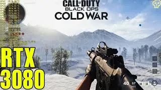 COD Cold War Beta Rtx 3080 Ultra Settings Performance 1440P