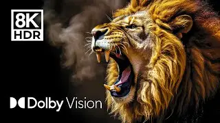 RAW WILDLIFE - DOLBY VISION™ 8K HDR (60FPS)