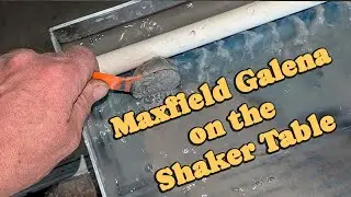 Maxfield Galena on the Shaker Table.