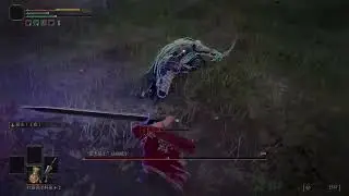 【前有小兵】艾尔登法环 无主猎犬的封印监牢——“猎犬骑士”达瑞威尔