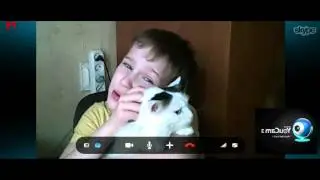 Вся правда о бутылках