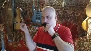 просвистель