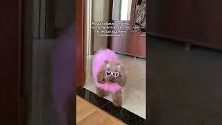 Когда ты звезда!