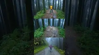 Sittong | Darjeeling Offbeat Destination | Sittong Pine Forest 
