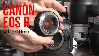Canon EOS R for video - Demo with L series EF lenses.