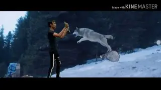 Tiger zinda hai best scene video