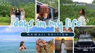 hawaii diaries⛰️🌺(waimanalo beach, hoomaluhia botanical garden, byodo temple,, shopping, etc!)