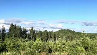 YEET THIS (flight archery)