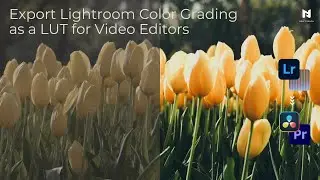 How to Export Lightroom Color Grading as a LUT for Video Editors