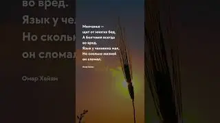 Молчание и Болтовня Про жизнь - Цитаты 