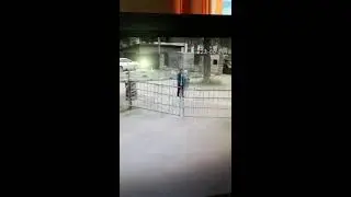 Кража рюкзака в лагере Юность в Бердске