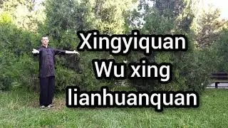 Синъицюань. Усин ляньхуаньцюань