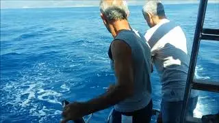 Dalyan Bacardi Beach Tour Mit Ali Özalp (Full HD Video) (September 2017) dalyan tv