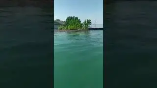 Сирдарёжон сирдарё бунча багринг сув дарё,кайтариб бер уйимни 😥