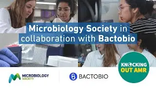 Microbiology Society in collaboration with Bactobio