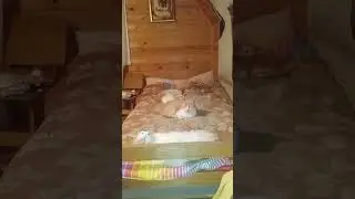 Кровать отжата
