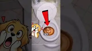 When bathroom rug messes with your eyes 🤯