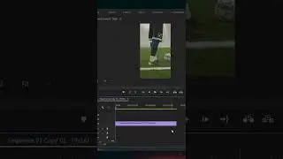 SAVE TIME!.Convert Horizontal Video To Vertical Premiere Pro 