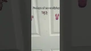 Help #funny #roblox #minecraft #animation #snailshouse