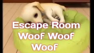 Room Escape Woof Woof GB Finger Studio