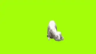 Sleeping sheep green screen।cartoon green screen। ostad animation। green screen