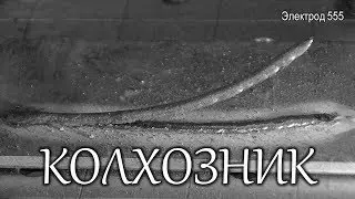 Cварочный шов ZELLER 555