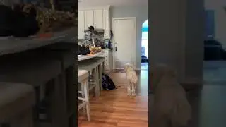Pasta🤤🤤🤤🤤🤤