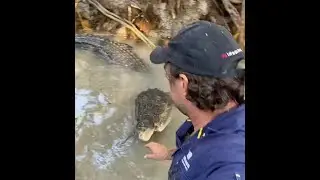 Extraordinary moment man pushes away a crocodile in a river