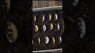 Блокчейн  -  это.... #блокчейн #blockchain #биткоин #криптовалюта #чтотакоеблокчейн  #bitcoin