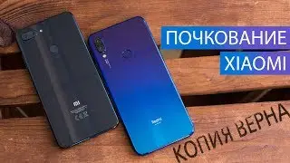 Сравнение Redmi Note 7 и Mi 8 Lite: так близки, что аж нет. Что лучше Redmi Note 7 или Mi 8 Lite?