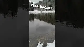 РЕКА КОСЬВА. ВЕСНА. ☀️  #shorts  #природа #урал #красота #Россия #пермскийкрай